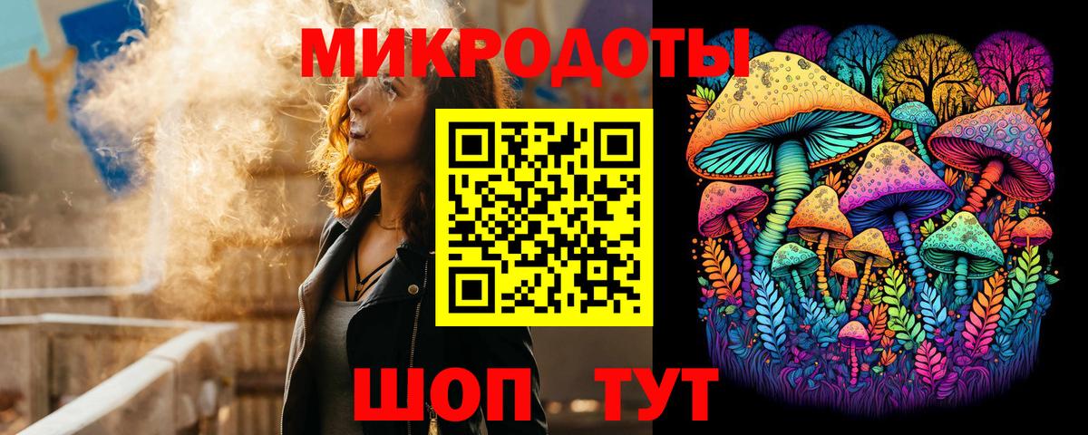 продажа наркотиков  Галлюциногенные грибы Psilocybe  Вход с VPN  Псилоцибиновые грибы Psilocybine cubensis  Бердск 