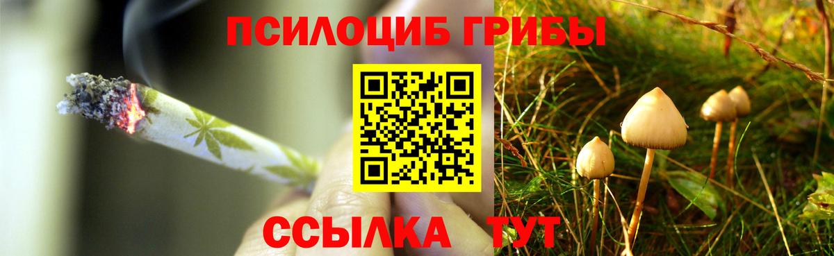 Псилоцибиновые грибы GOLDEN TEACHER Бердск